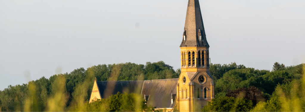 Afbeeldingen Website (14)