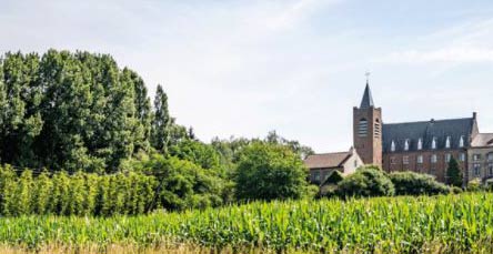 Affligem