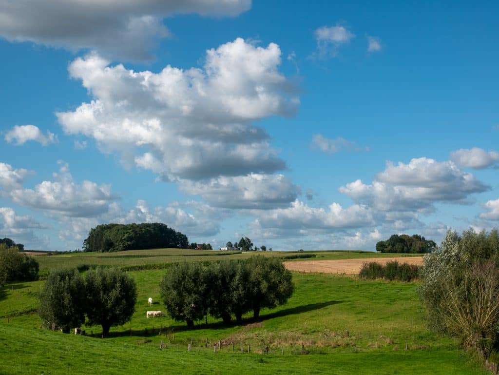 Landschaplezen